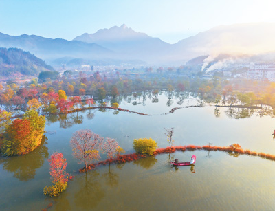 立冬臨近，湖北省黃岡市羅田縣九資河鎮(zhèn)紅葉觀賞帶，烏桕樹葉燦爛如霞，吸引了眾多游客前來觀賞。 王 江攝（人民視覺）